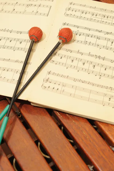 Xylophone en bois avec notes et maillets — Photo