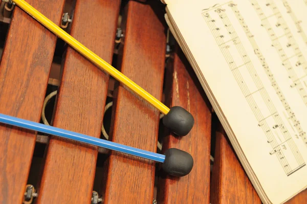 Xilofone de madeira com notas e paletes — Fotografia de Stock