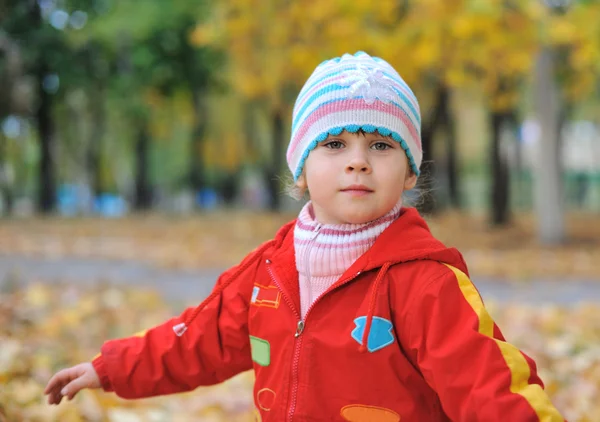 Portrait of the little girl in autumn forest — Stock Photo, Image