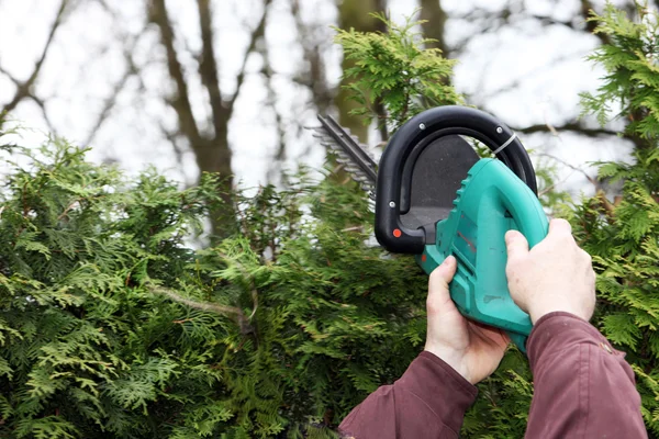 A man cutting a hedge. — Stock Photo, Image