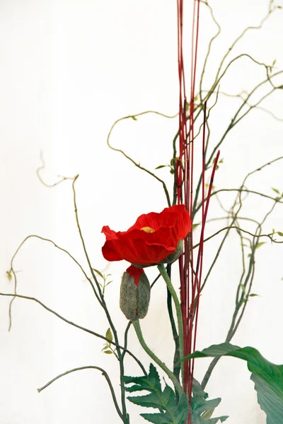 Röd blomma konst - vallmo — Stockfoto