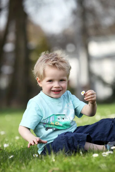 Мальчик-блондин сидит на лугу — стоковое фото