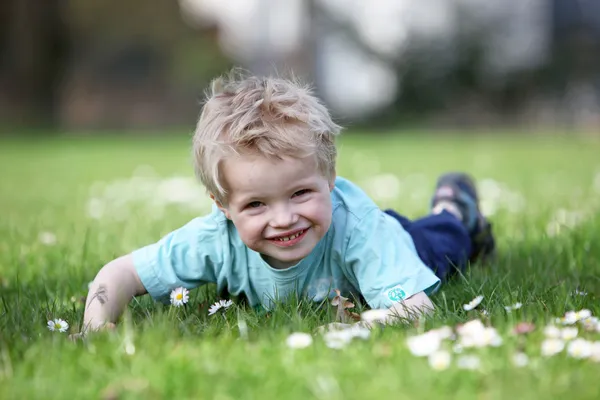 Маленький мальчик на зеленом лугу — стоковое фото