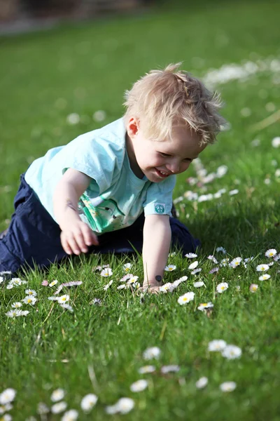 Small, happy blond boy in a green field — Stock Photo, Image