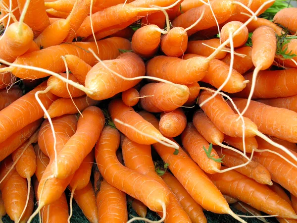 Cenouras empacotadas — Fotografia de Stock