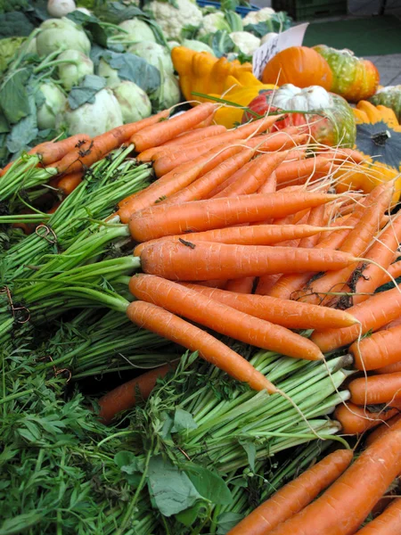 Gebündelte Karotten und Kohlrabi — Stockfoto