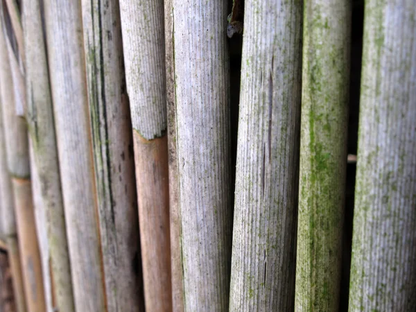 Esteira de bambu ou cana — Fotografia de Stock