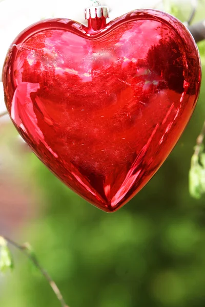 Un corazón rojo —  Fotos de Stock