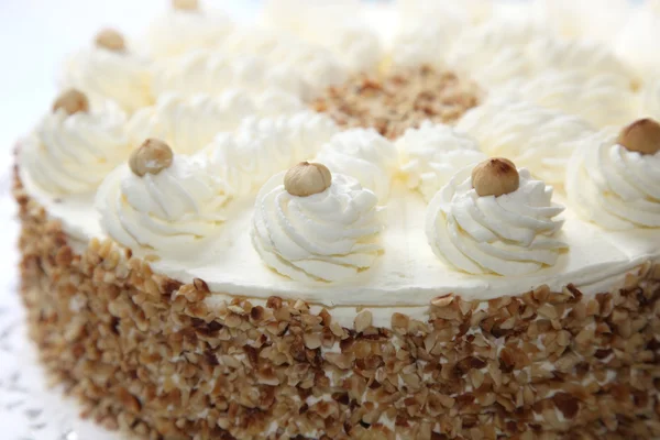 Cream cake with almond edge Stock Picture