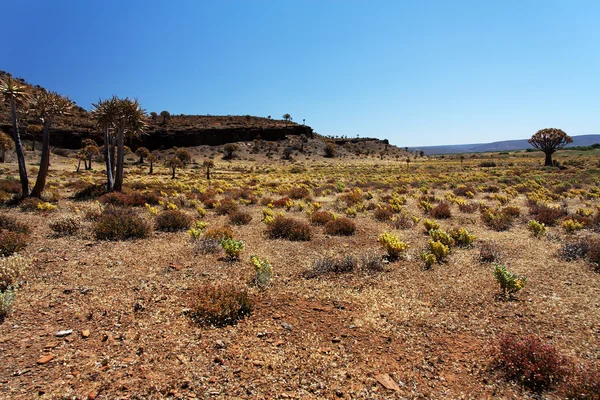 Landschaft in Südafrika — Stockfoto