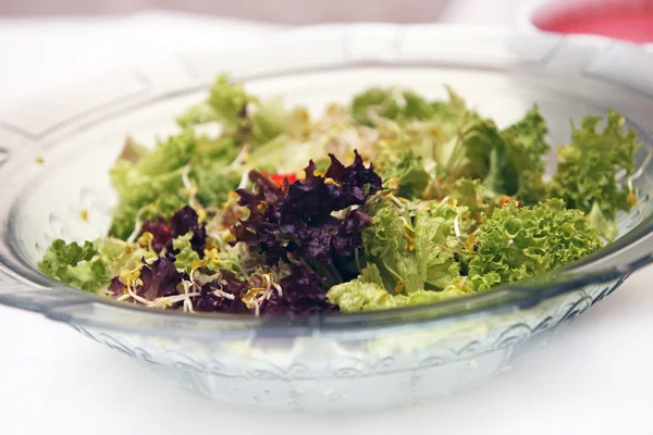 Frischer, gemischter Salat — Stockfoto