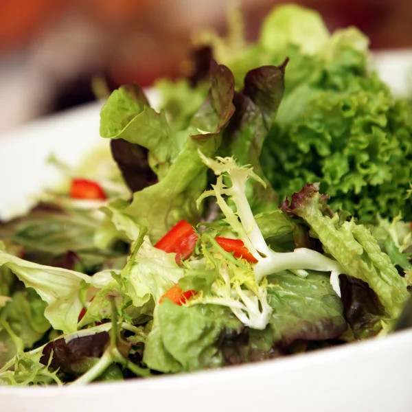 Čerstvé, zelené listy salátu — Stock fotografie