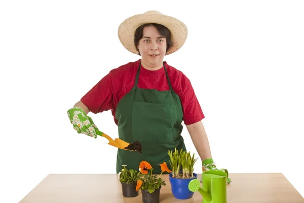 stock image Gardener