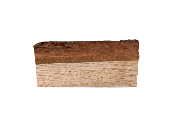 stock image Oak