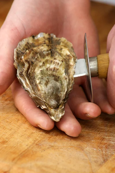 Organic fresh oyster with a knife — Stock Photo, Image
