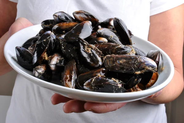 Cooked and opened organic mussel — Stock Photo, Image