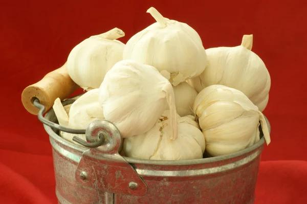 Some fresh organic garlic in a bucket — Stock Photo, Image