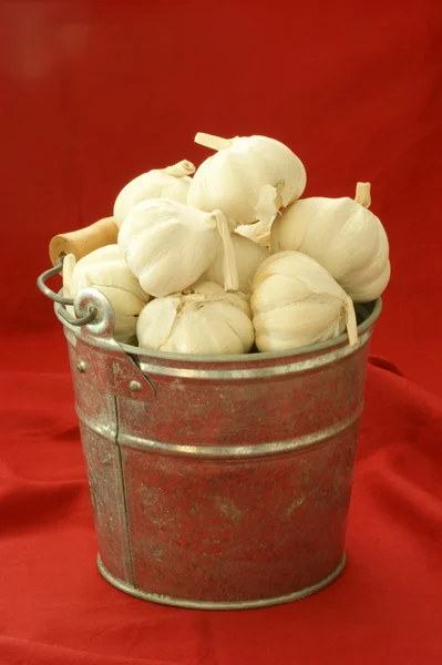 Fresh organic garlic in a bucket — Stock Photo, Image