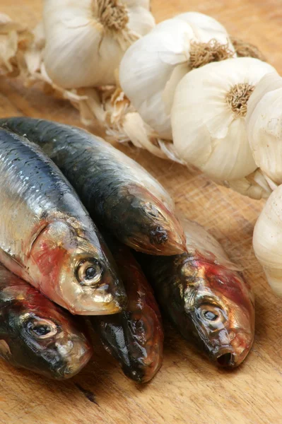 Some fresh organic sardine — Stock Photo, Image