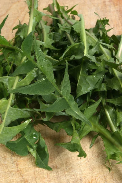 Gewaschene Löwenzahnblätter für einen Salat — Stockfoto