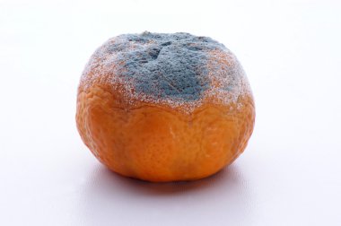 Mandarin, mouldy organic fruit clipart