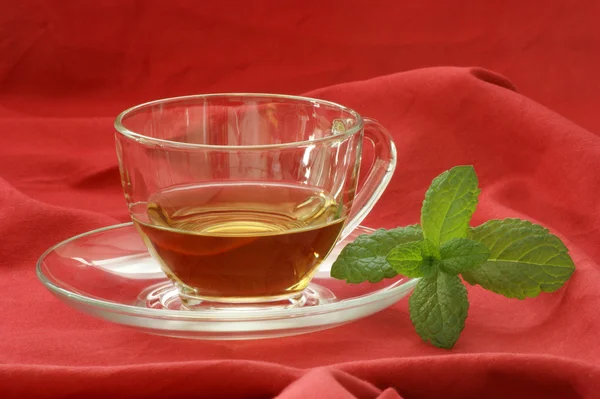 Friss bio gyógynövény tea csészében — Stock Fotó
