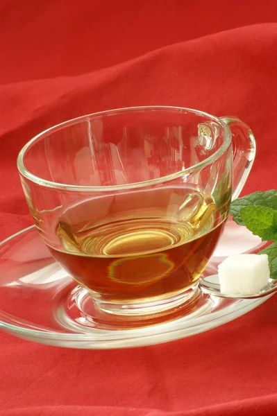 Свежий органический травяной чай в чашке — стоковое фото