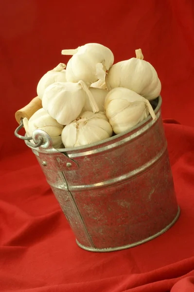 Some fresh organic garlic — Stock Photo, Image