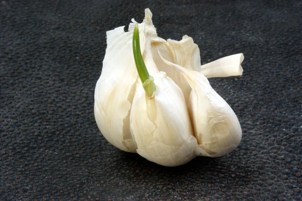 Garlic on a dark background — Stock Photo, Image