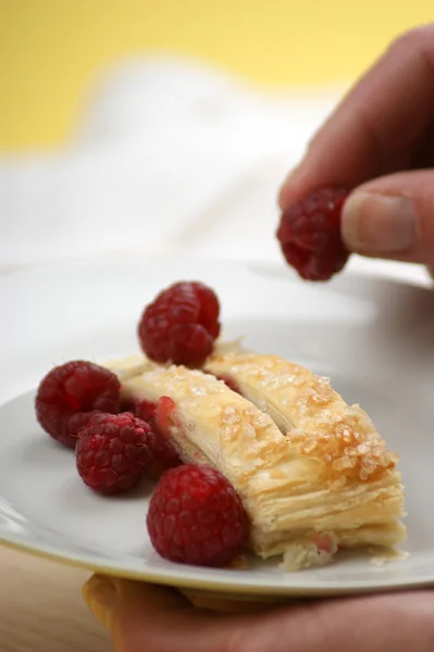 Jedno ciasto owocowe domowej roboty — Zdjęcie stockowe