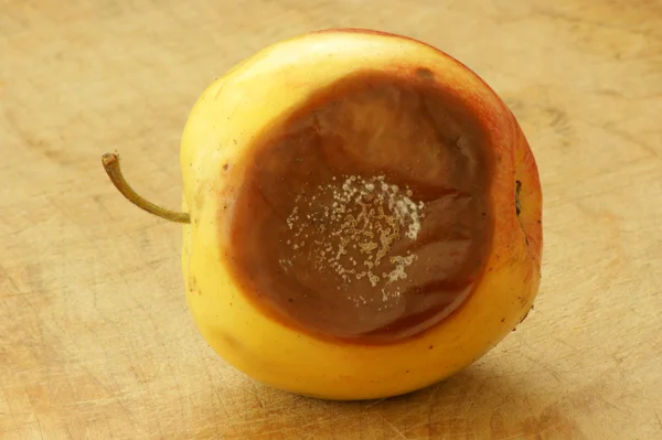 Плесень органическое яблоко вредно есть — стоковое фото