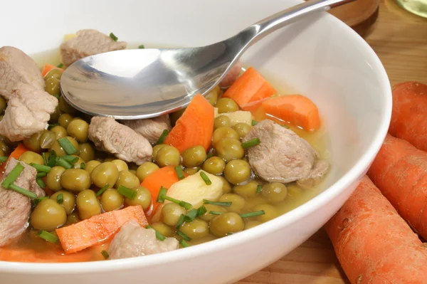 Sup sayuran lezat — Stok Foto