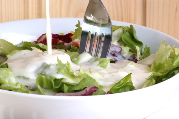 Taze organik yaz salatası — Stok fotoğraf