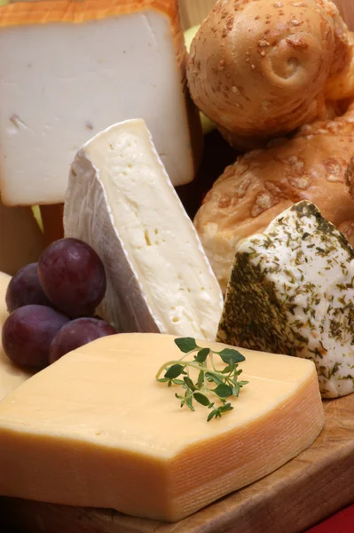 Bandeja de queso —  Fotos de Stock