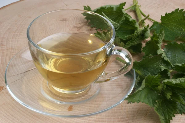 Chá de ervas orgânico em uma xícara — Fotografia de Stock