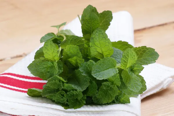 Peppermint from the garden — Stock Photo, Image
