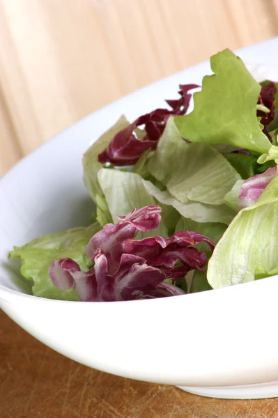 Beyaz bir kase yaz salatası — Stok fotoğraf