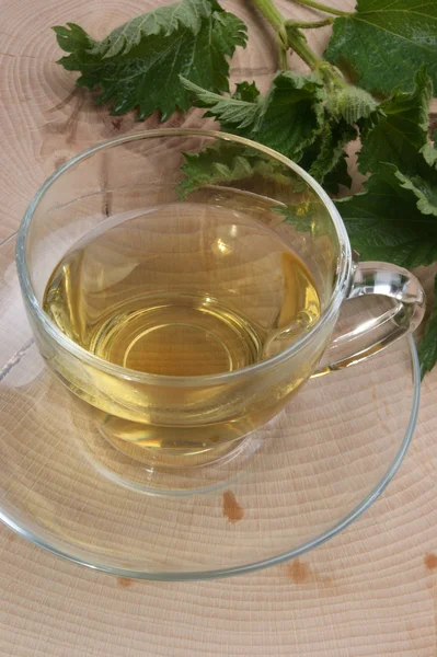 Chá de ervas orgânico fresco — Fotografia de Stock