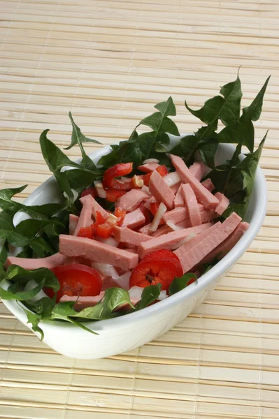 Kolbász saláta egy tálba — Stock Fotó