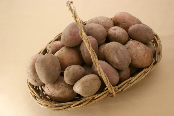 Some fresh organic potato — Stock Photo, Image