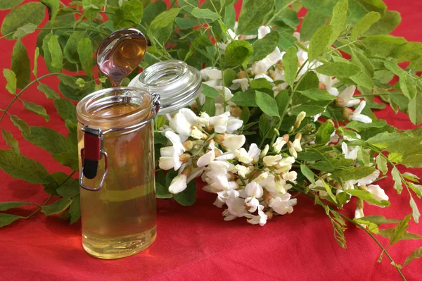 Un poco de miel de acacia orgánica —  Fotos de Stock