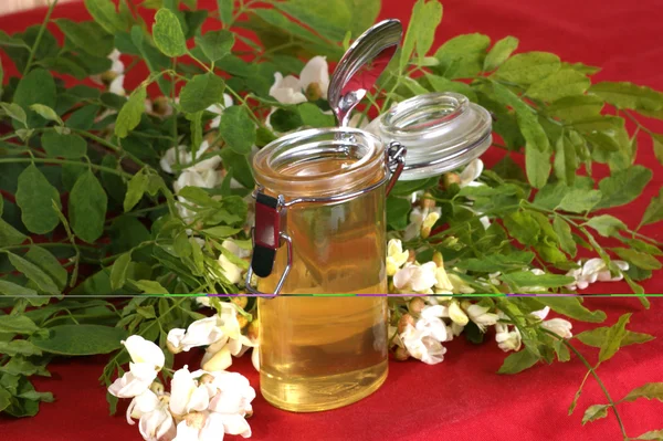 Акация мед в маленьком стакане — стоковое фото