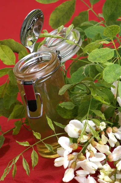 Akacia honung i små glas — Stockfoto