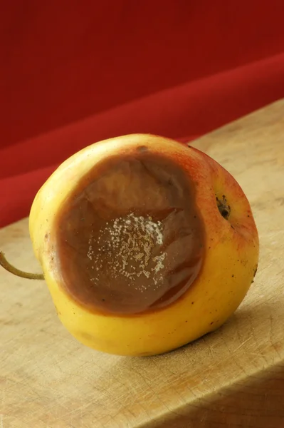 Mouldy organic apple — Stock Photo, Image