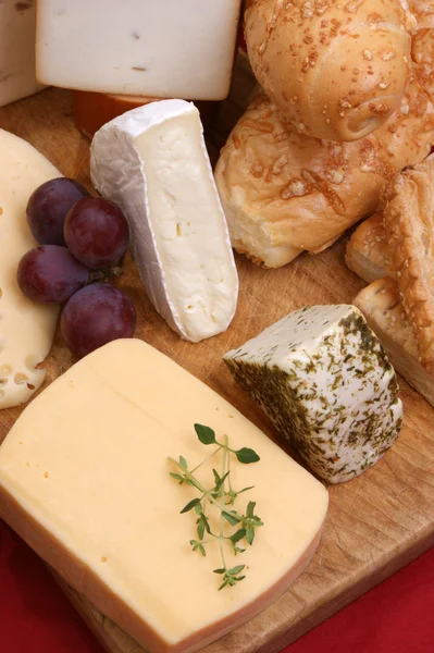 Bandeja de queso — Foto de Stock