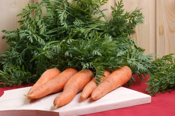 Fresh and healthy organic carrot — Stock Photo, Image