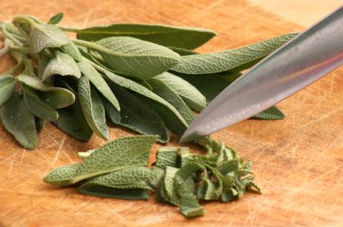 Organic sage, ideal as spice for every kitchen clipart