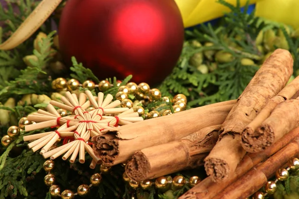Noel dekorasyonu ile çam dal ve organik tarçın — Stok fotoğraf