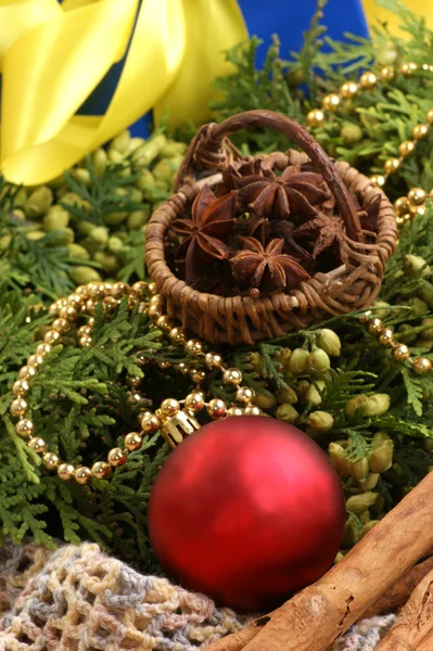 Noel dekorasyonu ile çam dal ve organik tarçın — Stok fotoğraf