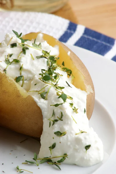 Boiled organic potato with home made curd — Stock Photo, Image